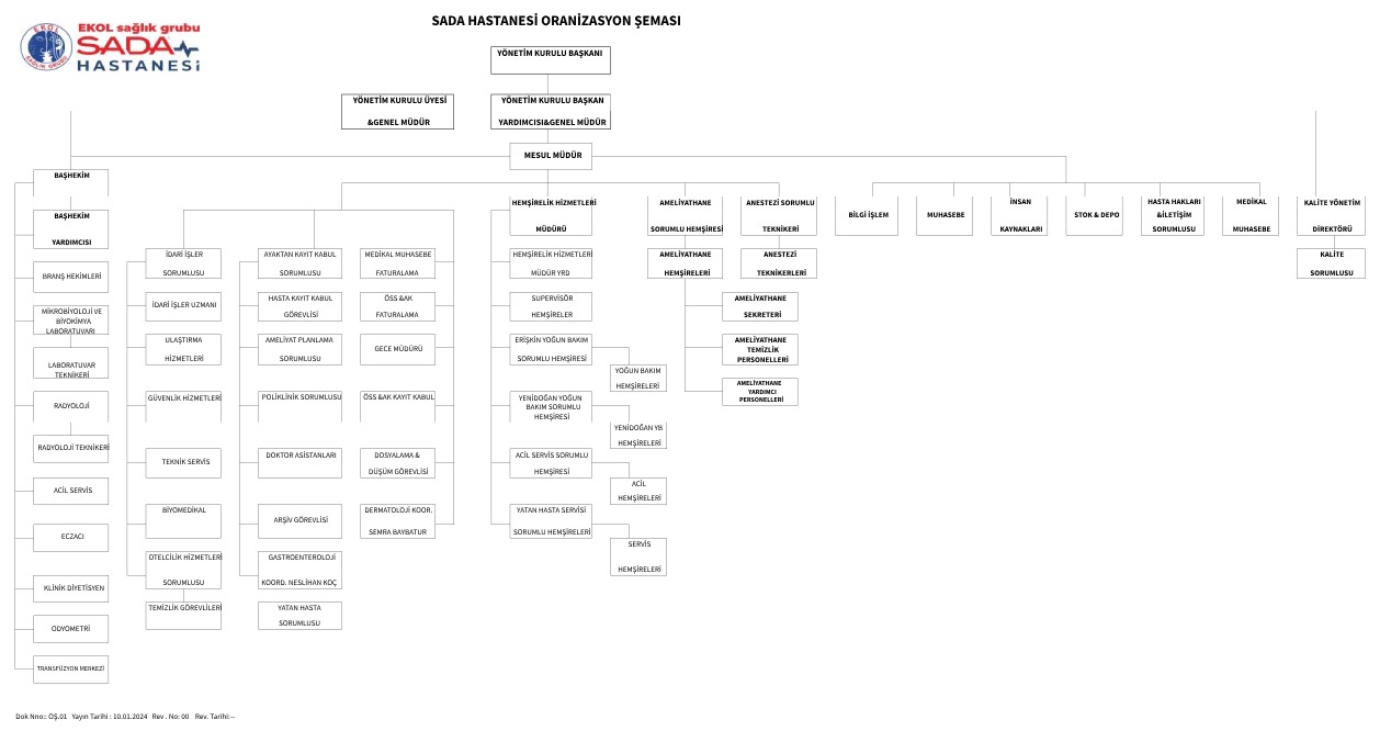 Organizasyon Yapısı